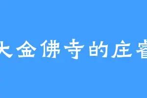 大金佛寺的庄睿