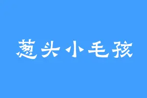 葱头小毛孩