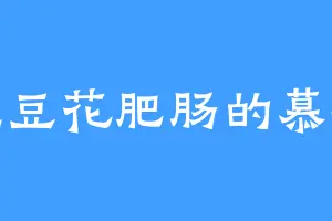 爱吃豆花肥肠的慕容沣