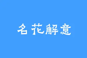 名花解意