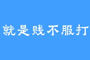 我就是贱不服打我