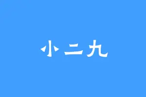 小二九