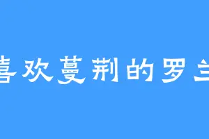 喜欢蔓荆的罗兰