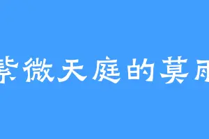 紫微天庭的莫雨