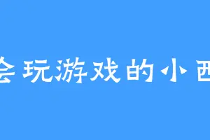不会玩游戏的小西瓜