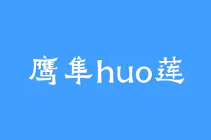 鹰隼huo莲