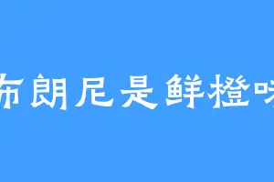 布朗尼是鲜橙味