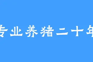 专业养猪二十年