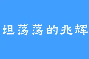 坦坦荡荡的兆辉煌