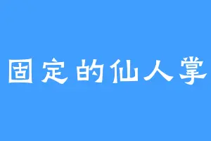 固定的仙人掌