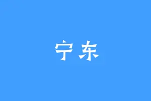 宁东