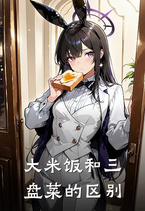 大米饭和三盘菜的区别