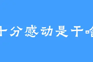 十分感动是干啥