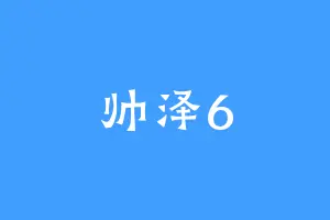 帅泽6