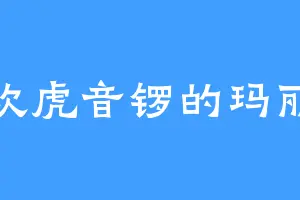 喜欢虎音锣的玛丽贝
