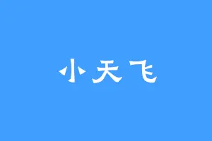 小天飞