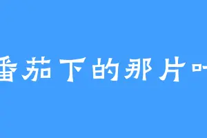 番茄下的那片叶
