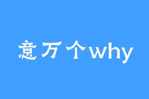 意万个why