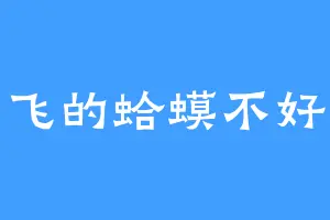 会飞的蛤蟆不好找