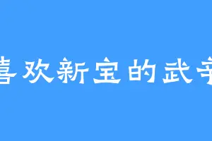 喜欢新宝的武辛