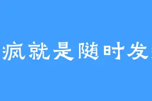 随疯就是随时发疯