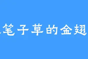 喜欢笔子草的金翅大鹏