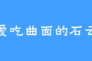 爱吃曲面的石云