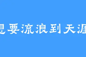 想要流浪到天涯1