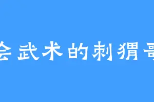 会武术的刺猬哥
