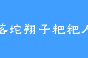 落坨翔子粑粑人