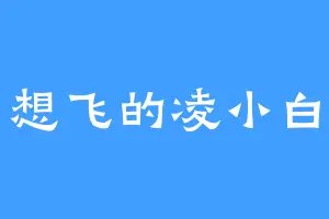 想飞的凌小白