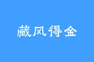 藏风得金