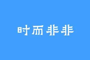 时而非非