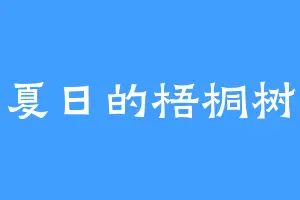夏日的梧桐树