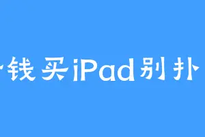 攒钱买iPad别扑街