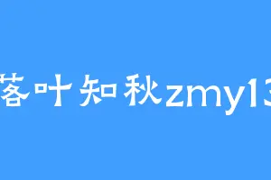 落叶知秋zmy13