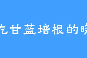 爱吃甘蓝培根的晓丹