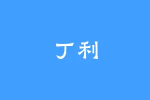 丁利