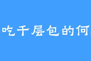 爱吃千层包的何进