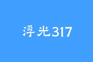 浮光317
