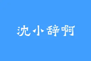 沈小辞啊
