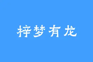 梓梦有龙