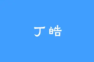 丁皓