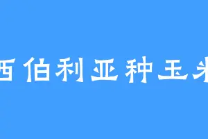 西伯利亚种玉米