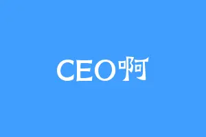 CEO啊