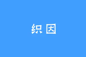 织因