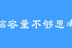 脑容量不够思考