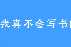 我真不会写书1